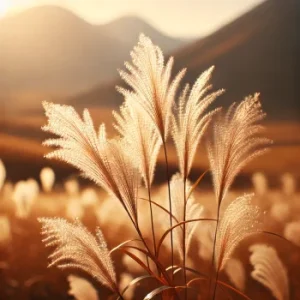 芒
