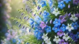 ロベリア